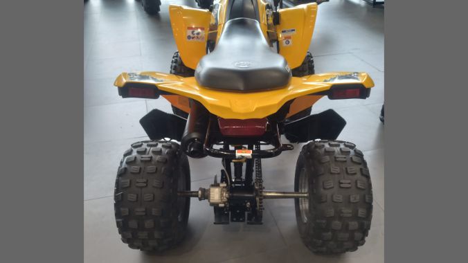 03 DS 250