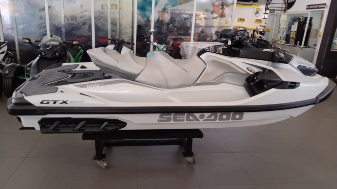 06 GTX 300 Limited