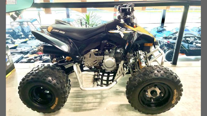 02 Can Am DS 90 2014