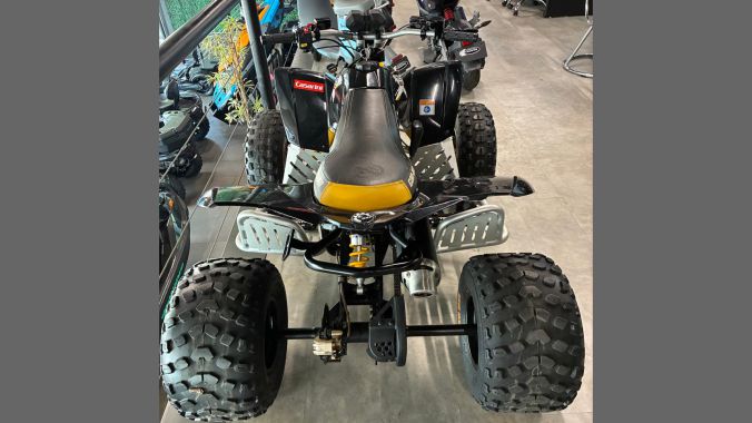 04 Can Am DS 90 2014